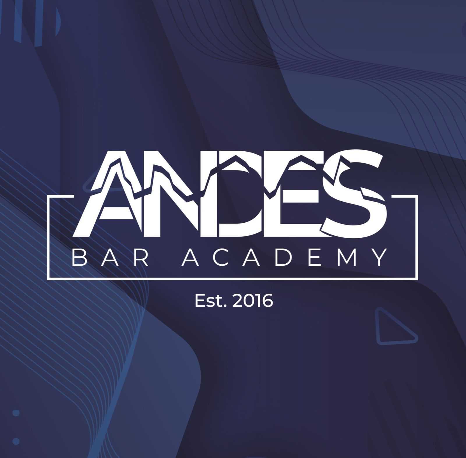 Logo de Andes Bar Academy